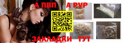 PSILOCYBIN Кингисепп