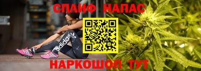 PSILOCYBIN Кингисепп