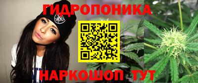 PSILOCYBIN Кингисепп