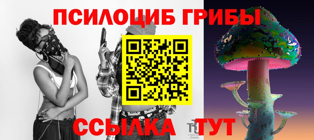 Псилоцибиновые грибы мицелий Красноармейск